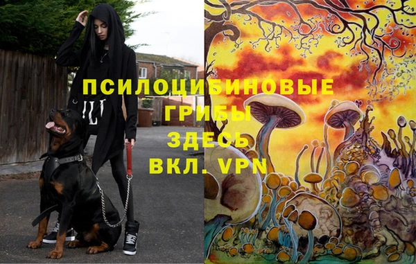 кокаин премиум Баксан